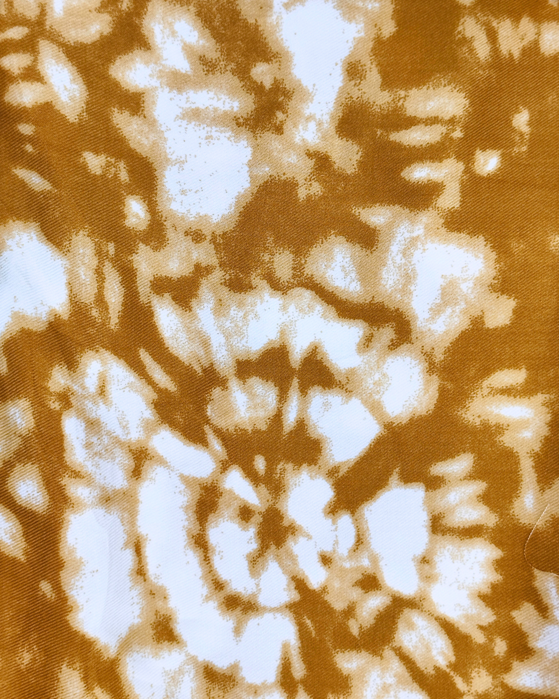 Honey Bloom